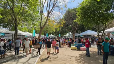 Assembleia em Ação: Terceira Edição Oferece Mais de 50 Serviços Gratuitos no Bela Vista