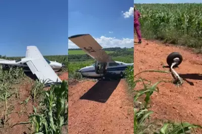 Avião faz pouso forçado em lavoura de milho no MS; seis pessoas hospitalizadas