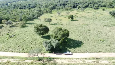 Buscas por mecânico agrícola desaparecido no Tocantins entram no sexto dia