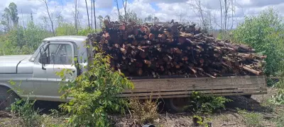 Caminhão com documentação irregular há 10 anos é apreendido com madeira furtada em Rio Pardo de Minas