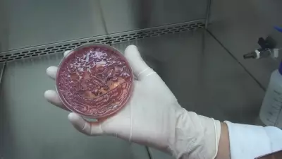 Campinas fecha UTI do Mário Gatti após identificação de superbactéria KPC em sete pacientes