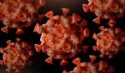 Casos de Mpox no Brasil sobem 46,5% e chegam a 129; especialista alerta para grupos de risco