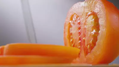 Chuvas em excesso prejudicam lavouras de tomate e pressionam preços no mercado