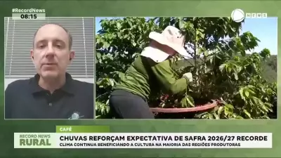 Chuvas favorecem safra recorde de café no Brasil em 2026-2027