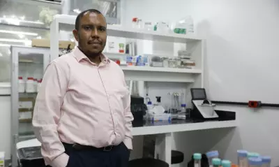 Cientistas brasileiros conquistam prêmios internacionais por pesquisas inovadoras sobre Alzheimer