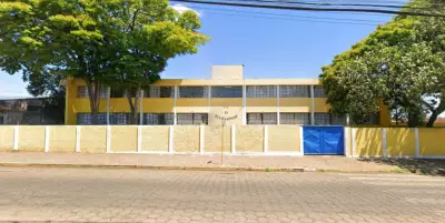 Cinco mulheres são atacadas por enxame de abelhas em Avaré após tentativa de remoção de colmeia