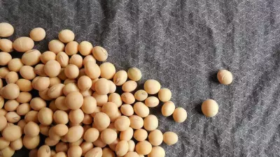 Conflito no Oriente Médio ameaça exportações agrícolas e fertilizantes no Brasil