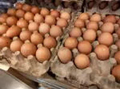 Conflito no Oriente Médio eleva custos e ameaça aumentar preços de proteínas no Brasil