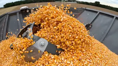 Conflito no Oriente Médio preocupa produtores de milho brasileiros devido ao mercado iraniano