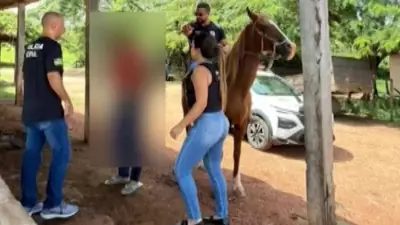 Delegado persegue suspeito de violência doméstica a cavalo e efetua prisão em campo