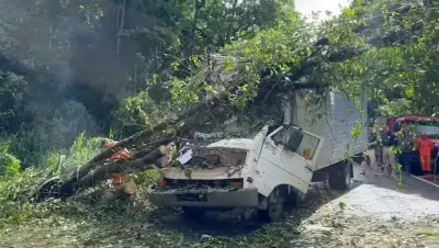 Duas vítimas fatais após queda de árvore sobre caminhão e colisão com ambulância na Bahia