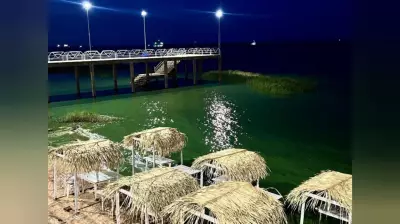 Estudo da Ufopa investiga florações de cianobactérias em praias do Tapajós em Santarém