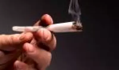 Estudo revela que uso prolongado de maconha pode afinar córtex frontal do cérebro