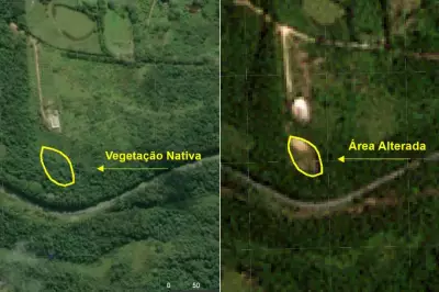 Fazendeiro é multado em R$ 31 mil por desmatamento e maus-tratos a animais em SP