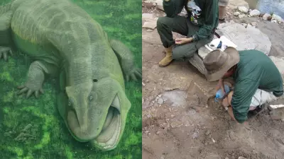 Fóssil de anfíbio herbívoro de 280 milhões de anos é descoberto no Piauí e Maranhão