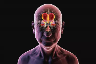 Hidrocefalia de Pressão Normal: Condição Reversível que Pode Ser Confundida com Alzheimer