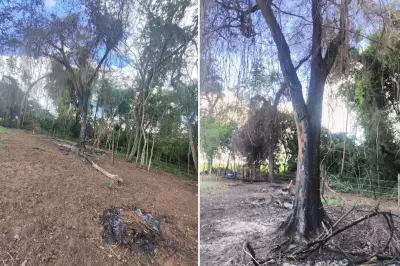 Homem multado em R$ 5,3 mil por destruir vegetação nativa com fogo em Álvares Machado
