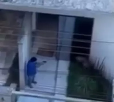 Homem solto após pagar fiança por matar cachorro da família com 14 tiros em Pará de Minas