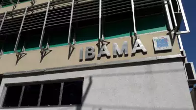 Ibama multa governo do Paraná em R$ 2,5 milhões por poluição com plásticos no litoral
