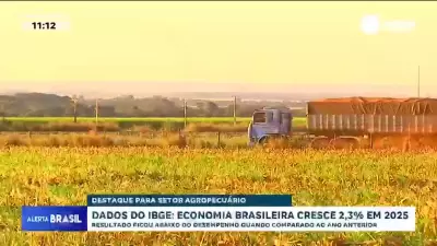 IBGE revela crescimento de 2,3% da economia brasileira em 2025, abaixo do ano anterior