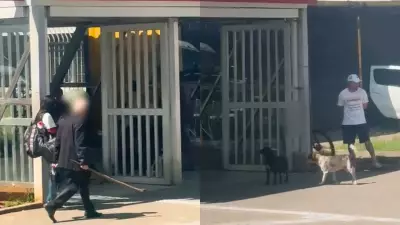 Idoso agride cachorro com paulada em estação da CPTM de Suzano; vídeo viraliza