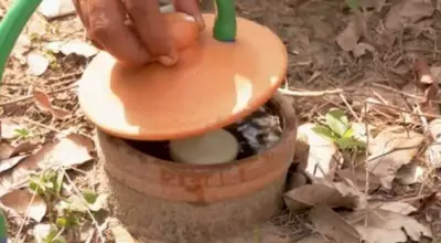 Irrigapote: Potes de Barro Revolucionam Agricultura Familiar no Pará Contra a Seca