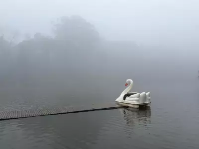 Lago Negro 'desaparece' em Gramado com nevoeiro intenso que transforma paisagem