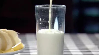 Leite de búfala ganha destaque no agronegócio por qualidade nutricional e rendimento