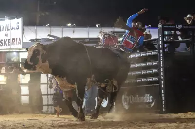 Limeira Rodeo Music define finalistas e premia peões com vaga para final em Barretos