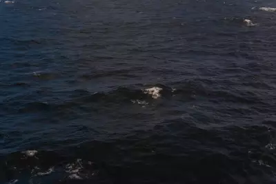 Menina de 11 anos fica gravemente ferida em acidente com embarcação em rio de Rondônia