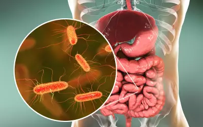 Microbiota intestinal é chave para eficácia da imunoterapia contra o câncer, revelam pesquisas