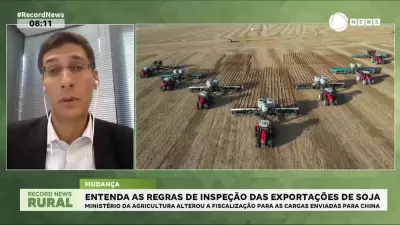 Ministério da Agricultura altera regras de inspeção para exportação de soja à China