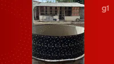 Mulher é presa por manter rinha clandestina de galos em Caxias, no Maranhão