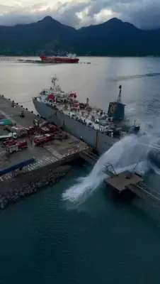 Navio com gado pega fogo em São Sebastião sem danos estruturais; animais estão seguros