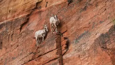 Nove estratégias científicas para encontrar calma e resiliência em tempos turbulentos