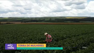 NSC Notícias de Santa Catarina Apresenta Destaques de Quarta-feira, 4 de Fevereiro de 2026