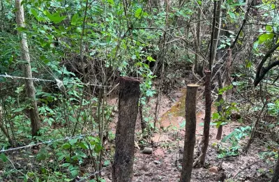 Piauí conclui recuperação de nascentes em área estratégica do Cerrado durante Semana da Água