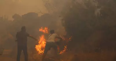 Planeta atinge recorde de calor em 2025 e ONU alerta para efeitos por milênios