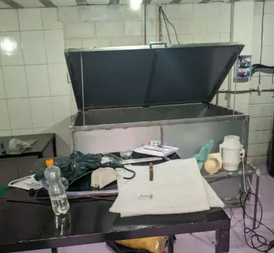 Polícia apreende cogumelos alucinógenos e equipamentos em galpão de Ubatuba