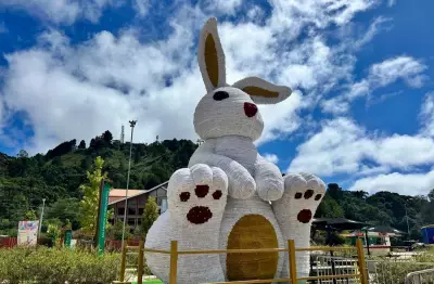 Páscoa 2025 terá chuva em grande parte do Brasil, com alerta para temporais no Norte e Nordeste