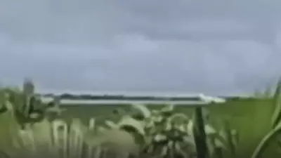 Quilombolas denunciam pulverização aérea de agrotóxicos sobre casas e roças no Maranhão