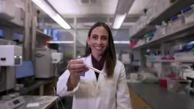 Química brasileira cria caneta que detecta câncer em segundos durante cirurgias