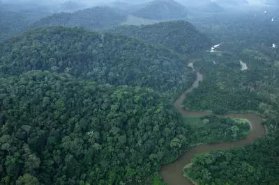 Reserva Biológica de Poço das Antas celebra 52 anos como marco da preservação da Mata Atlântica
