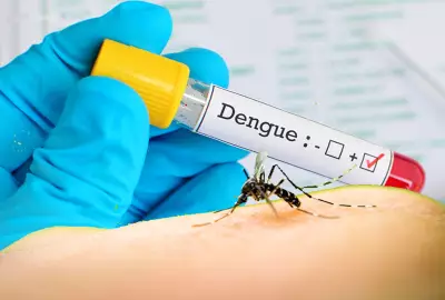 Santarém decreta emergência em saúde pública devido ao aumento alarmante de casos de dengue