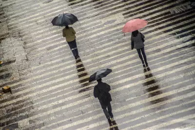 Semana de março começa com chuva intensa e frio polar no Centro-Sul do Brasil