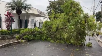 Tempestade com ventos fortes e granizo causa estragos em Caçapava, SP