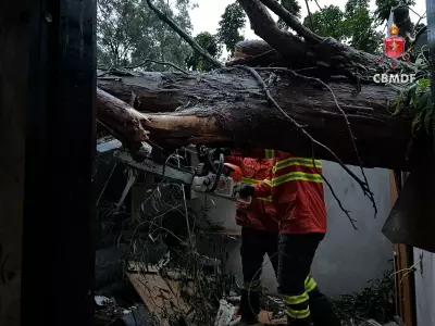 Temporal causa estragos no DF com alagamentos, queda de árvores e hospital inundado