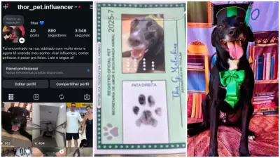 Thor: Cão abandonado que seguiu casal em São Carlos ganha RG, rede social e nova família