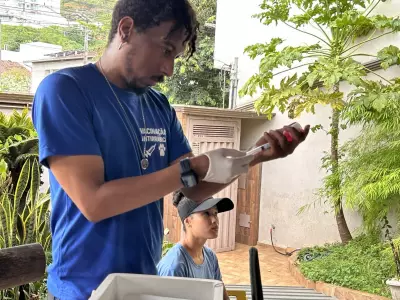 Timóteo vacina cães e gatos após morcego com raiva ser encontrado no Eldorado