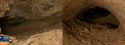 Túneis de 10 mil anos escavados por tatus gigantes são descobertos no Sul de SC